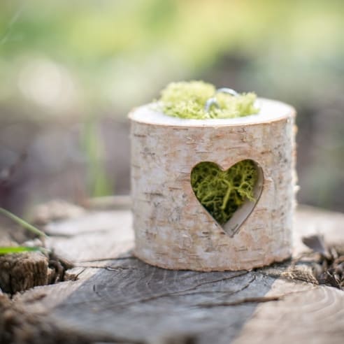 support-alliances-buche-coeur