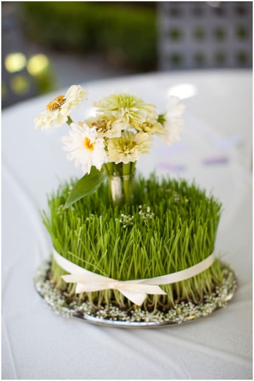 tumblr_m9meu46yZp1qk6ko2