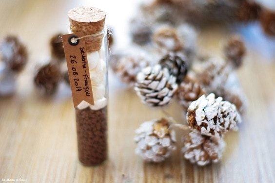 éprouvette chocolat 564