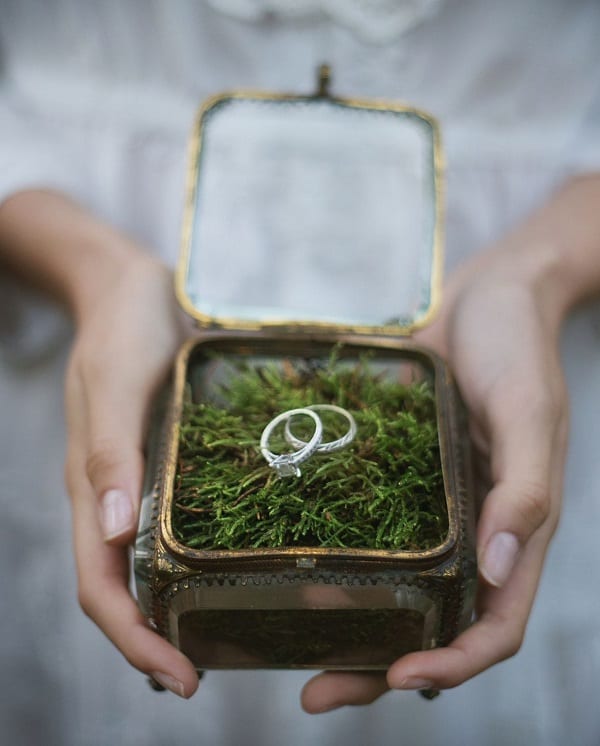 save-the-deco-boite-alliance