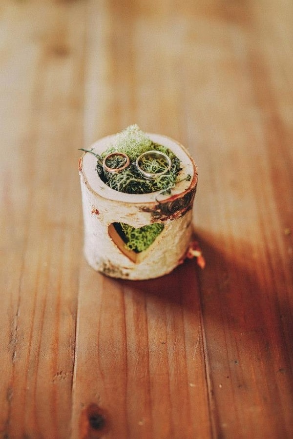 save-the-deco-support-alliance-buche