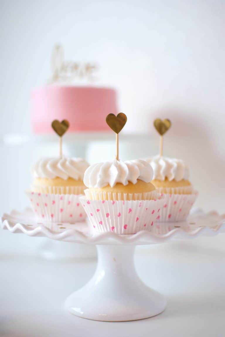 Ensemble Bébé Fille Gymboree 18-24 Mois - Thème Anniversaire Cupcake Rose Et Blanc